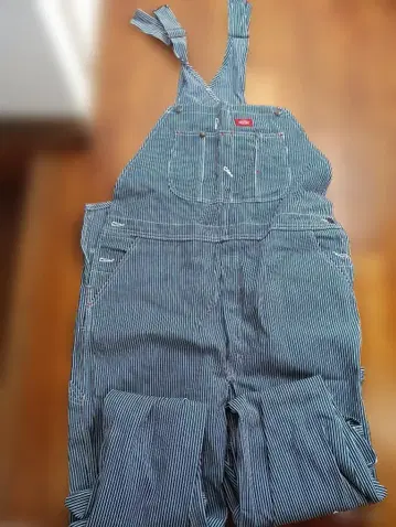 Dickies 스트라이프 오버롤