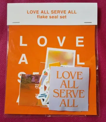 미개봉 새상품 후지이 카제 LASA 플레이크 씰 세트 스티커