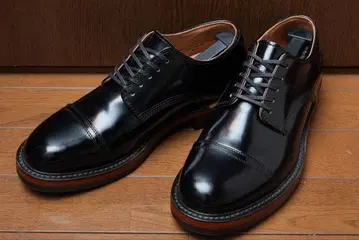 새상품급 STUMPTOWN 별주 Danner 포스트맨 us8 Danner