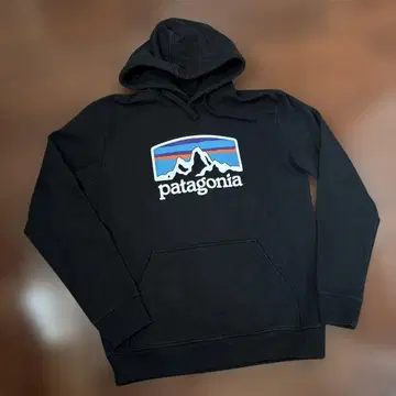 patagonia 블랙 후드티 후디
