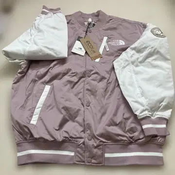 새상품 THE NORTH FACE PAVILION MASTY JACKET