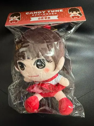 타치바나 코토미 치비 누이