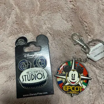 디즈니 월드 핀 배지 키링