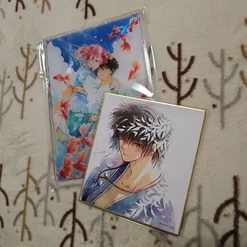 새벽의 연화 2세트