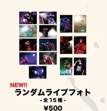 초학생 통신 한정 랜덤 라이브 사진 전 15종 컴플리트 개별 판매 가능