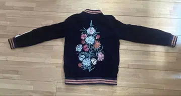 ZARA 벨로아 블루종 자수 스카잔