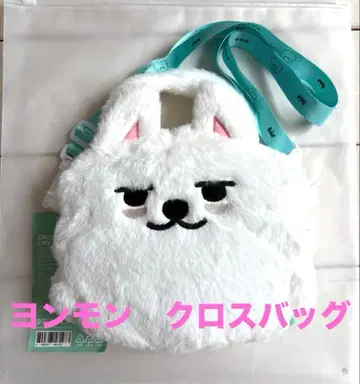 TXT 뿔바투 용몬 크로스백 수빈