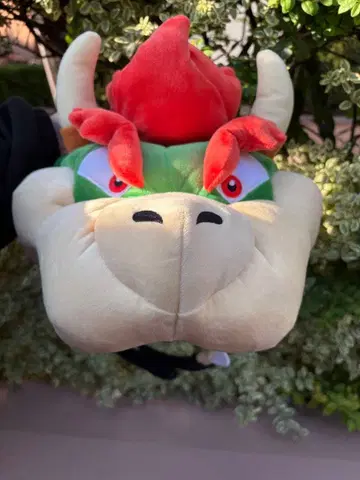 쿠파 얼굴형 모자