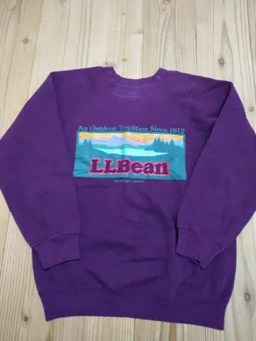 80s~ Hanes L.L.Bean 산 로고 래글런 맨투맨 미국제