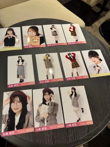 [ RainTree ] 사진 11장 MIX 3