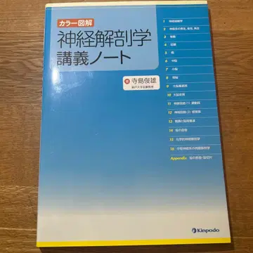 신경해부학 강의 노트 컬러 도해