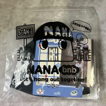 Seventeen 호시 나나민박 NANAbnb 비니