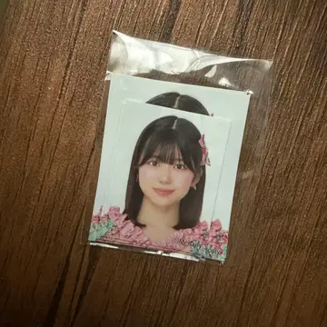 HKT48 이시이 아야네 증명사진풍 스티커 세트