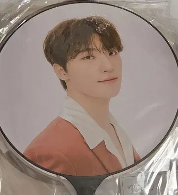 SEVENTEEN 디노 be the sun 부채