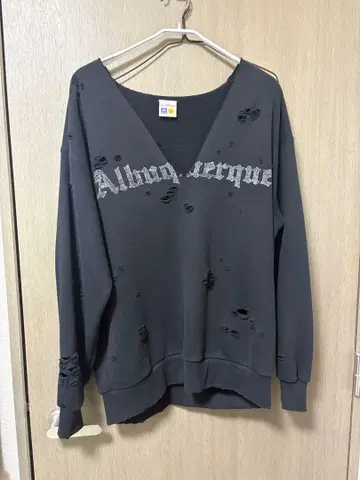 Albuquerque 데미지 가디건