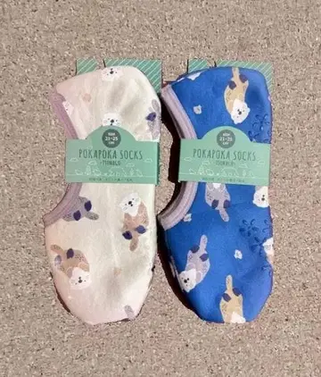 도바 수족관 랏코 포근포근 삭스 블루 베이지 도바 수이 미에현