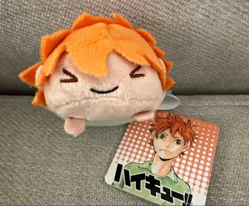 하이큐 노루캬라 마스코트 히나타 쇼요 세츠가오카 중학생 Ver