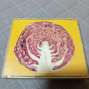 이시카와 유코 파이널 콘서트 / 사랑을 잠들게 하지 마