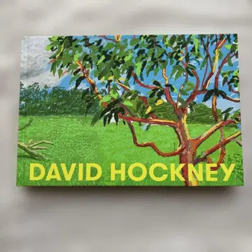 데이비드 호크니 전 카탈로그 2023 도쿄도 현대 미술관