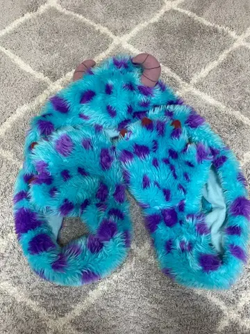 샐리 팬캡 디즈니