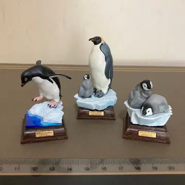 네이처 테크니컬러 남극 3종