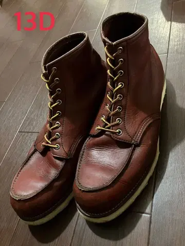 레드윙 아이리쉬 세터 홍차 반원