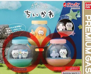 캡슐리움 치이카와 (먼작귀)