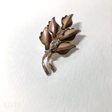 잎 디자인 브로치