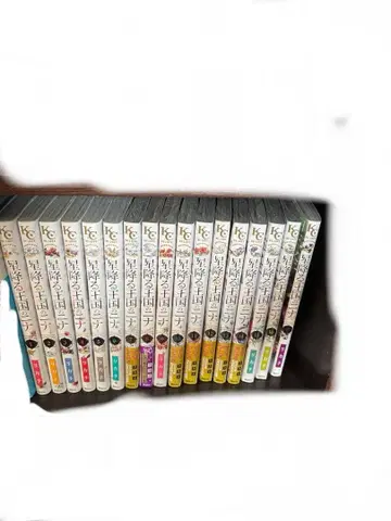 별이 내리는 왕국의 니나 1~17