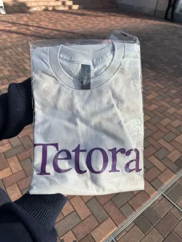 Tetora 로고 T셔츠 GILDAN ULTRA COTTON