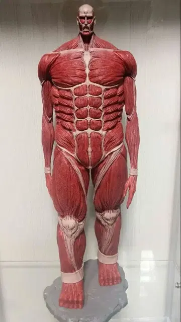 초대형 거인 라스트 원상 개봉 완료