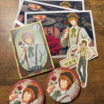 와카사토 하루나 세트