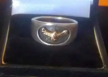 레어 빈티지 10K 이글 반지 실버925 인디언