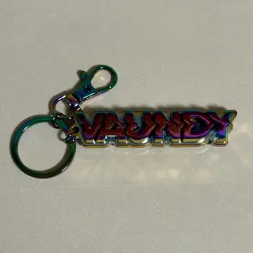VAUNDY 오로라 로고 키체인
