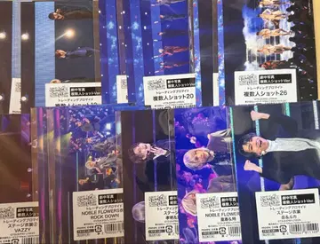 루나 페스티벌 브로마이드 3