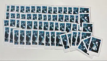 이레이스 실사 폴라로이드 -hotoke- 군 이무 군 무도관 Ver.