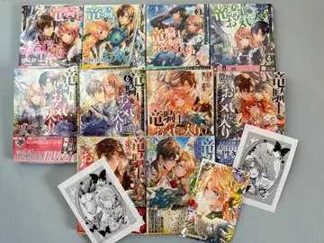 용기사의 애정 1~10 전권