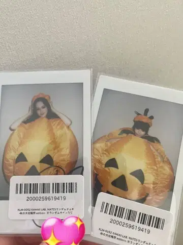 타카나시 유나 시마사키 유카 메이츠 런 폴라로이드