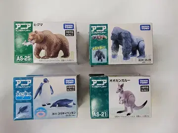 아니아 4개 세트