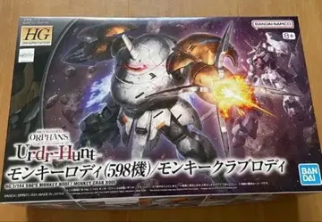 HG 몽키 로디 (598호기)
