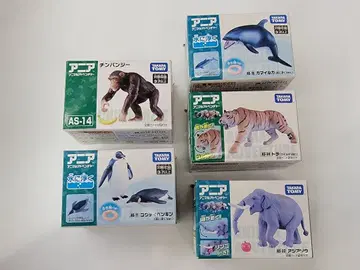 아니아 5개 세트