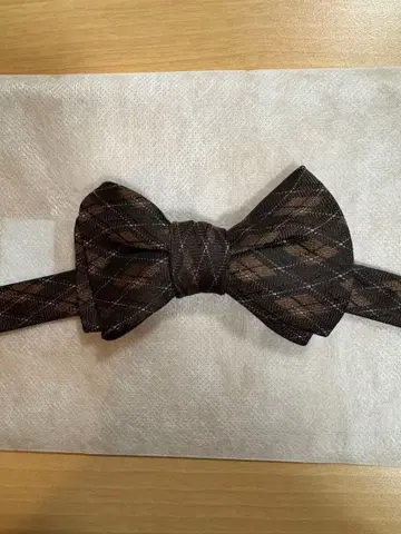 트리트 드레싱 신랑 나비 넥타이 브라운