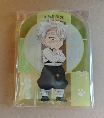 시나즈가와 사네미 난자타운 A상