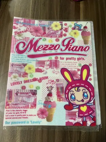 당시 물건 메조 피아노 B5 파일 바인더