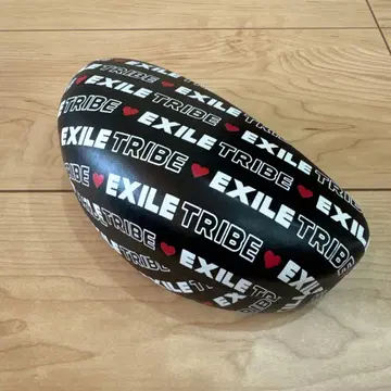 EXILE TRIBE 타원형 케이스 TOWER OF WISH