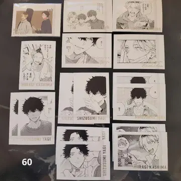 기븐 파샤코레 60