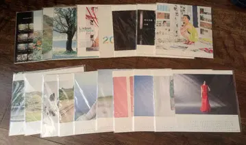 사카모토 마아야 달력 2006~2023년, 2025년