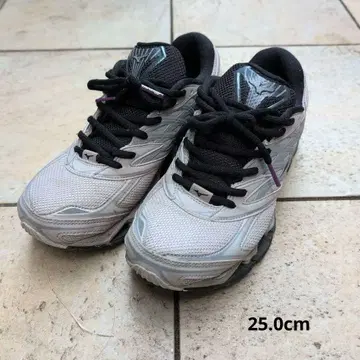 가격 인하! mizunoWAVE PROPHECY LS 웨이브 프로페시