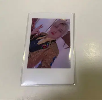 38 팬더드래곤 파라곤 하피카 폴라로이드 요우타