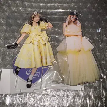 나카가와 루카 생일 기념 2025 스키 복권 D상 아크릴 스탠드 AB